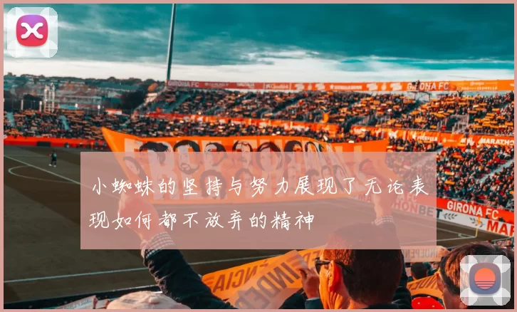 小蜘蛛的坚持与努力展现了无论表现如何都不放弃的精神